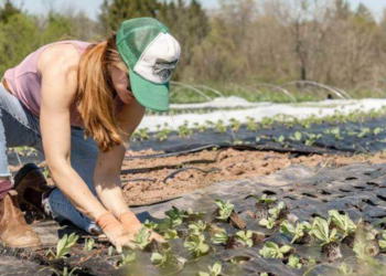 Sürdürülebilir Tarım Uygulamaları
