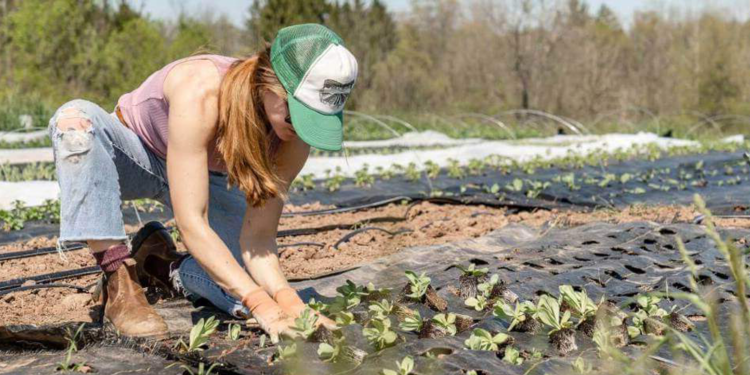 Sürdürülebilir Tarım Uygulamaları