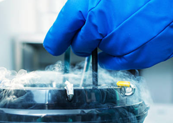 Yumurta dondurma (oosit kriyoprezervasyonu)