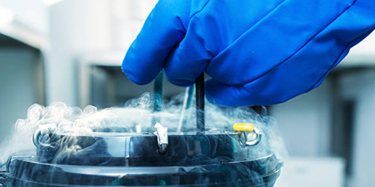 Yumurta dondurma (oosit kriyoprezervasyonu)