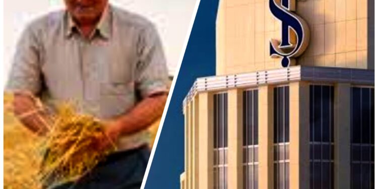 İş Bankası, tarım sektöründe yeni şirket kurdu