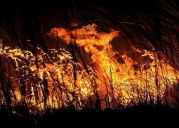 Kuş cenneti Göksu Deltası’nda yangın