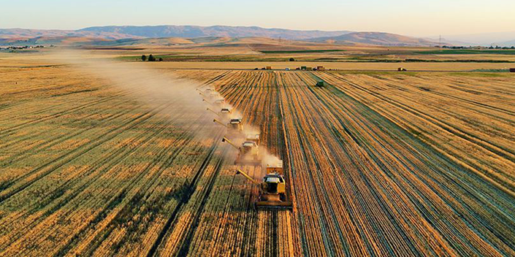 Tarım Daha Kolay Nasıl Yapılır?