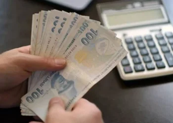 Bireysel Emeklilik Sistemi’nde devlet katkısı artıyor