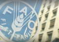 FAO açıkladı: Gıda üretiminde deprem kaybı yüzde 20