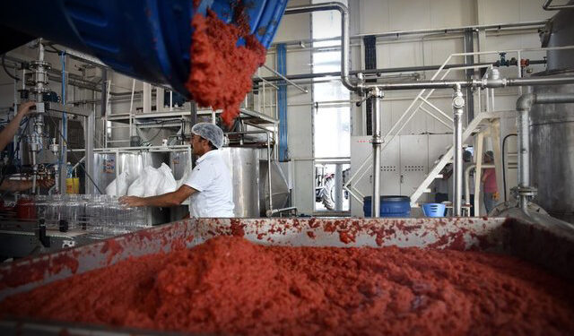 Lice Kooperatifi’nin hikayesi: Türkiye’de kooperatifçilik ve tarım politikalarının geleceği