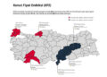 Konut Fiyat Endeksi ve konut fiyatları şubat ayında zirveyi gördü