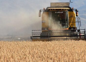 Düzenlenen kanunla tarımda üretim planlaması yapılacak
