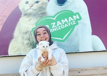 Depremzede kediler yeni konutlarına kavuştu