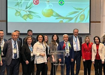 Zeytinyağı ihracatçıları Brezilya pazarında güçleniyor