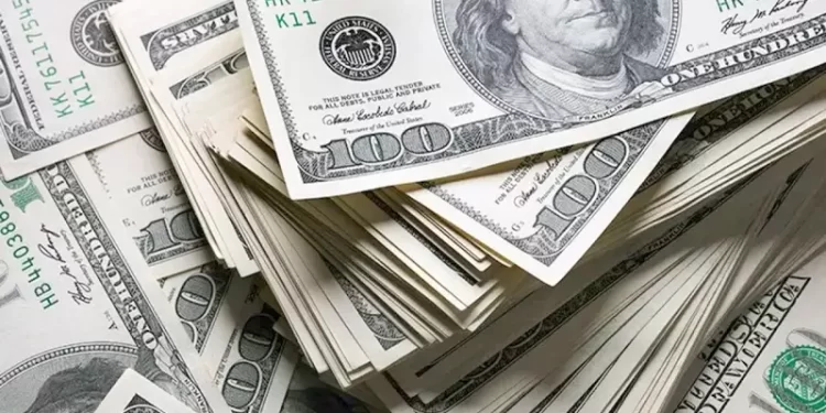 Dolar 25 TL’nin üzerini gördü