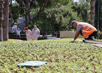 Antalya bu yaz çiçek bahçesine dönecek