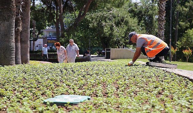 Antalya bu yaz çiçek bahçesine dönecek