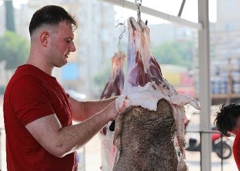 Antalya Büyükşehir Belediyesi, bu yıl da Kurban Bayramı nedeniyle fiyatsız kurban kesim hizmeti verecek.