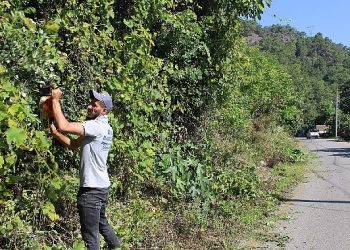 Antalya Büyükşehir grupları Çıralı’da paklık çalışması yaptı