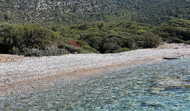 Belediyeden, ada ve koylarda paklık