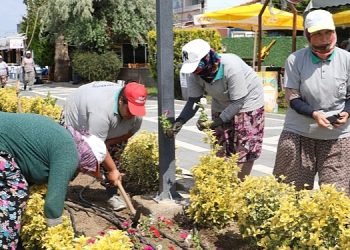 Burhaniye Çiçeklerle Renkleniyor