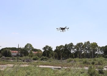 Burhaniye’de sinekle gayrette yeni tahlil