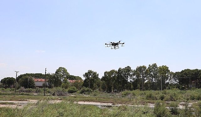 Burhaniye’de sinekle gayrette yeni tahlil