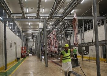 Çağdaş kesimhanede tekbirlerle kesim yapılıyor