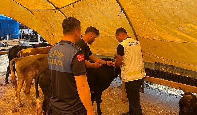 Canik’te Bayram Hazırlıkları Son Hız