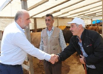 Canik’te Hayvan Pazarı Açıldı