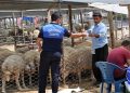 Çukurova kurban satış yerleri