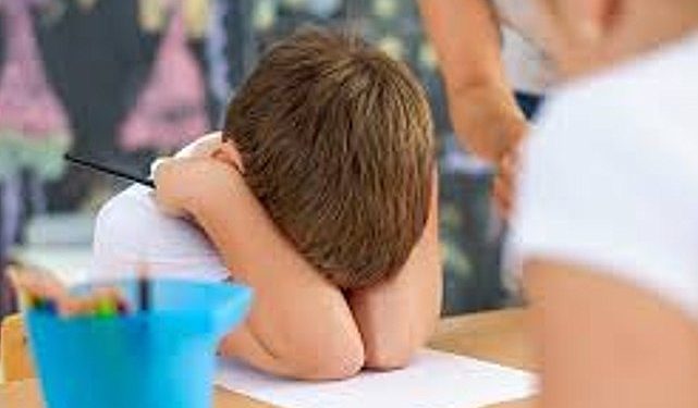 Depremzede Çocuklara His Dostu Olalım Projesi ile Yüzlerce Çocuğa Ulaşılacak