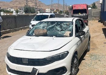 Dicle Elektrik Takımına Saldırıp Direkleri Tahrip Ettiler