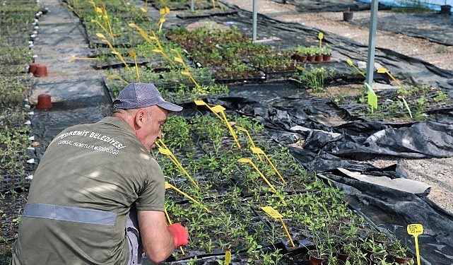 Edremit Belediyesi’nin CET Tohumu projesi büyüyor