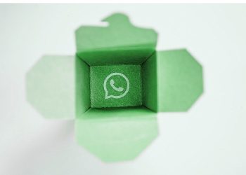 Gaye Whatsapp yedeklemeleri