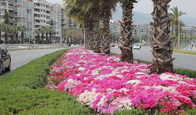 İzmir çiçek açtı