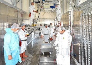 İzmir Kurban Bayramı’na hazır