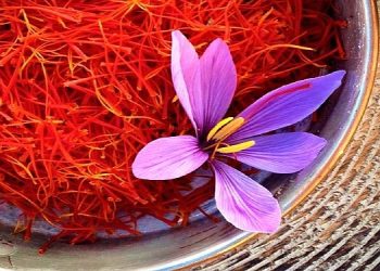 Kaliteli bir uykunun anahtarı: Kırmızı Altın