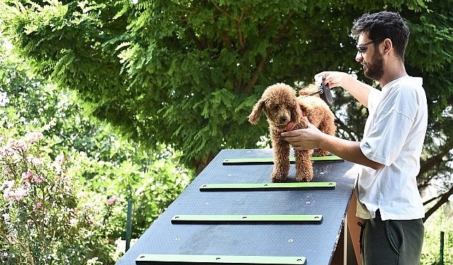Kemalpaşa Belediyesi can dostlar için ilçenin birinci köpek parkını kurdu