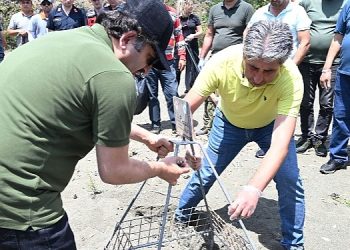 Kemer’de “Caretta caretta birinci yuva” aktifliği yapıldı