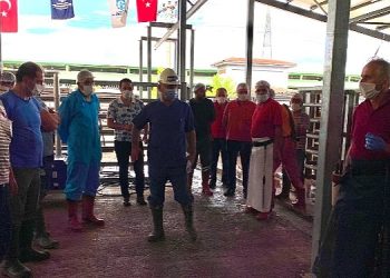 KO-MEK, Kurban Bayramı öncesinde eğitim verecek