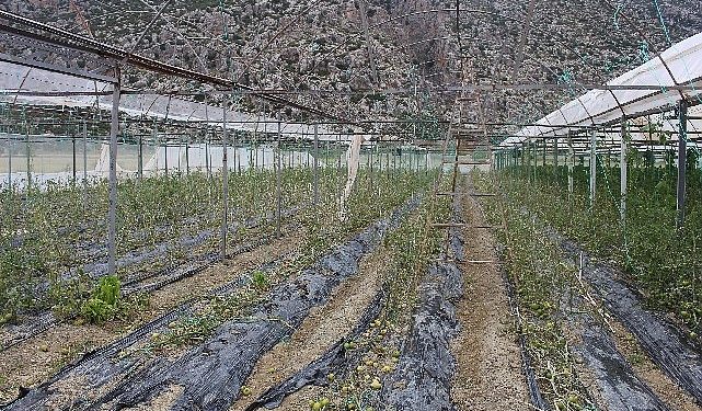 Korkuteli Kayabaş’ı hortum ve dolu vurdu