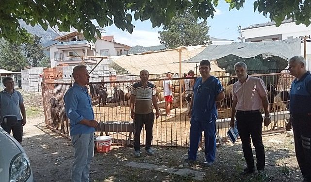 Kurban satış yerlerinde kontrol