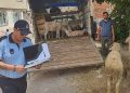 Mahalle ortasında kurban satışına müsaade yok