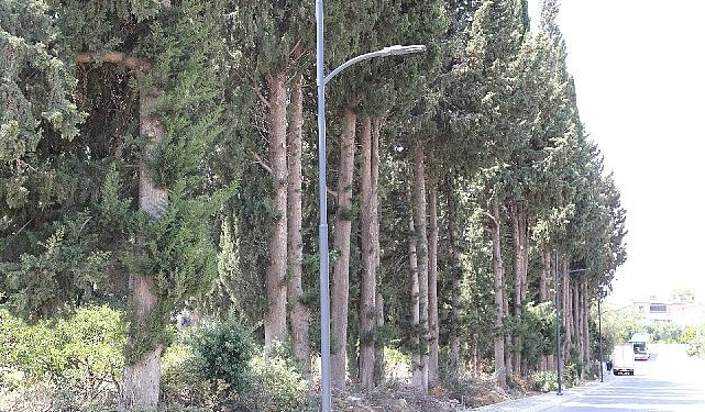 Menderes’e Yeni Aydınlatmalar