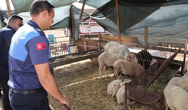 Menderes’te Kurban Kontrolü