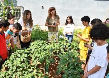 Mersin Yenişehir Belediyesi cet tohumlarını çocuklarla geleceğe taşıyor