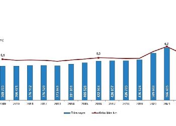 Mevt sayısı 2022 yılında 504 bin 839 oldu