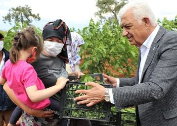 Muğla Büyükşehir İpekböcekçiliğini Destekliyor Muğla Kazanıyor