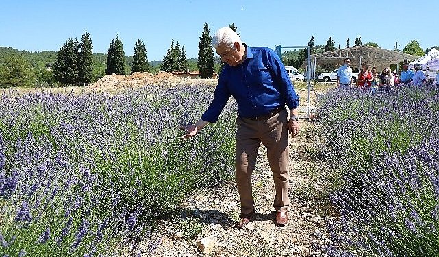 Muğla Büyükşehir Lavanta Bahçesi Yeni Döneme Hazır