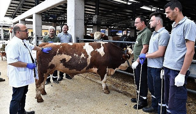 Osmangazi’de kurban yakalama timleri vazifeye hazır