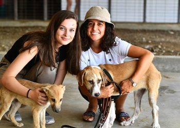 Pati dostları bu şenlikte buluşacak