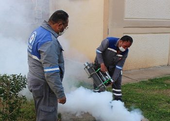 Sineksiz yaz için ilaçlama ordusu iş başında