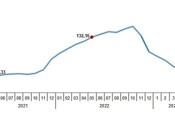 Yurt İçi Üretici Fiyat Endeksi (Yİ-ÜFE) yıllık %40,76, aylık %0,65 arttı